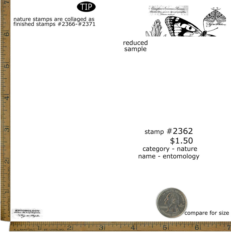 #2362 - Entomology - Nature